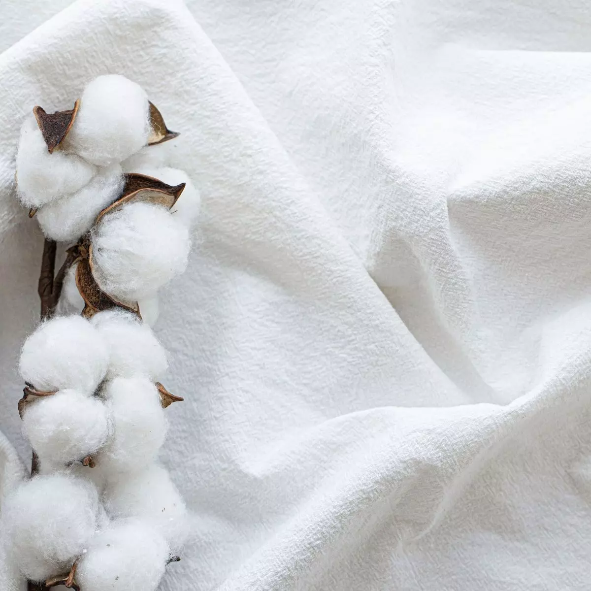 5. Katun (Cotton)